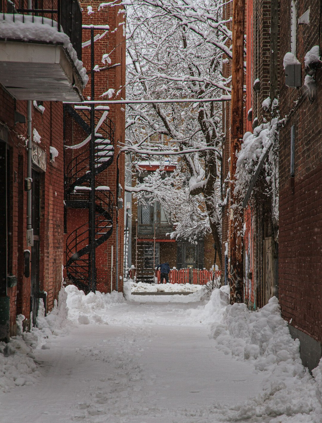 A narrow Montreal alley lined with iron fire escapes and row houses