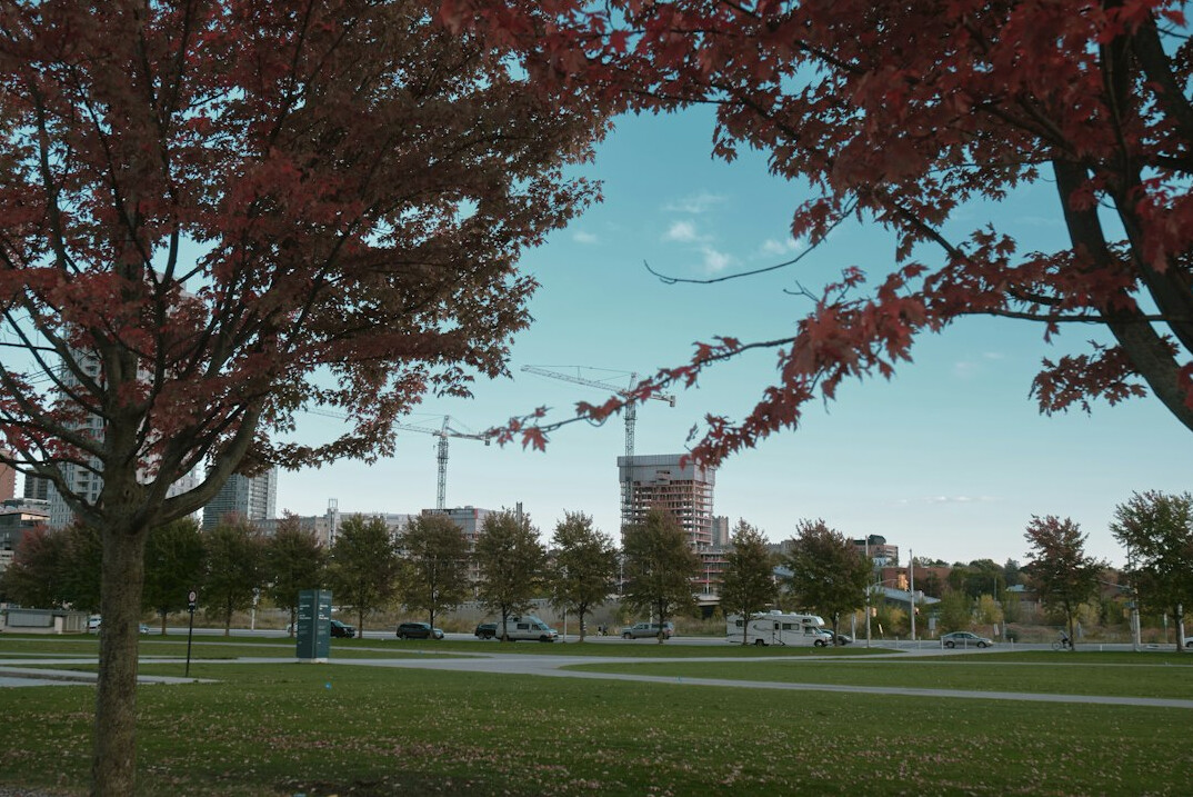 ottawa park picnic